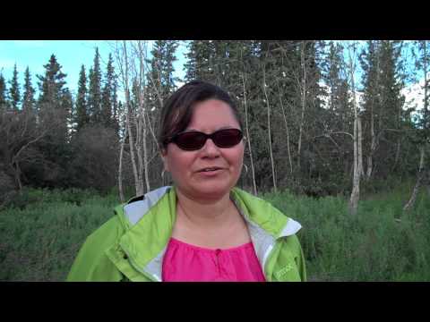 Official Trailer: The Sacred Place Where Life Begins | Gwich'in Women Speak [HD]