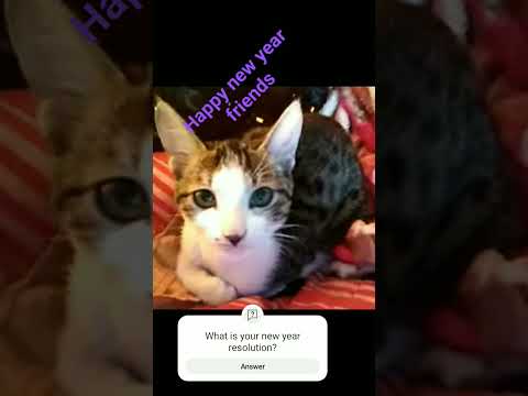 Happy new year by munia #shorts#munia