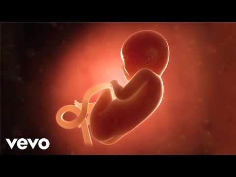 Hector El Father, Wisin, Yandel, Don Omar - Sacala