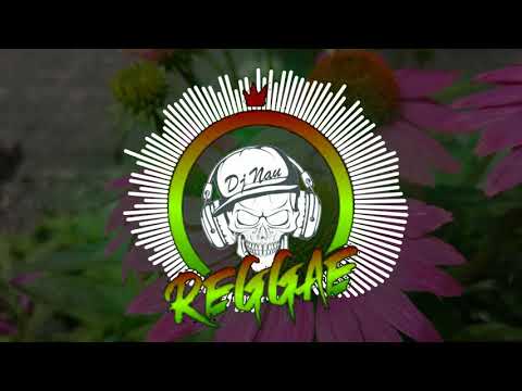 VEITAPUI - DJ NAU 2019 new Tongan cover song