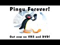 Pingu Forever DVD VHS Advertisement