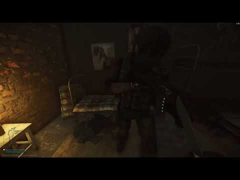 Voice chat works! Why can't we be friends.. Escape from Tarkov