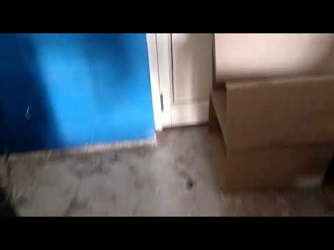 Papaya base mix fruit soap