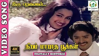 Download lagu Iru Paravaigal 4K Video Song-Niram Maratha Pookal-Sudhakar,Radhika | Jency,Gangai Amaran- Ilaiyaraja mp3