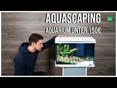 AQUASCAPE AQUARIUM FÜR UNTER 150,00€ | Aquascaping Schritt für Schritt erklärt | GarnelenTv