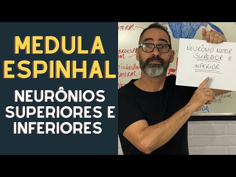 CONCEITO DE NEURÔNIOS MOTORES SUPERIORES E INFERIORES