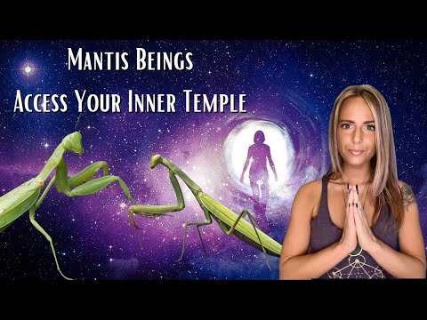 Mantis Beings: Access Your Inner Temple [ Starseed Activation ]