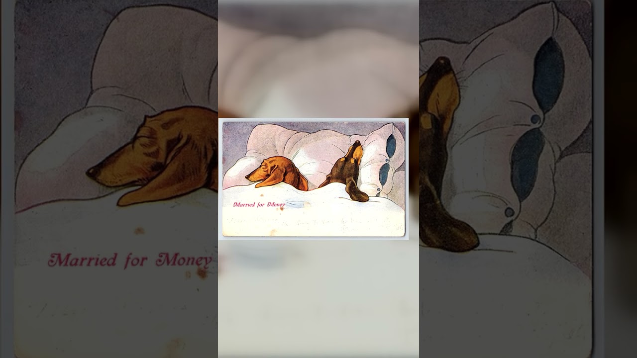 Married for Money, Divided Back Postcard, Prairie City IL, 1910 Video