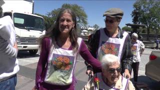 Du Pain & Des Roses - 20 ans (webdiffusion)