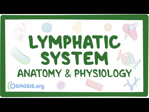 Potassium homeostasis an Osmosis Preview
