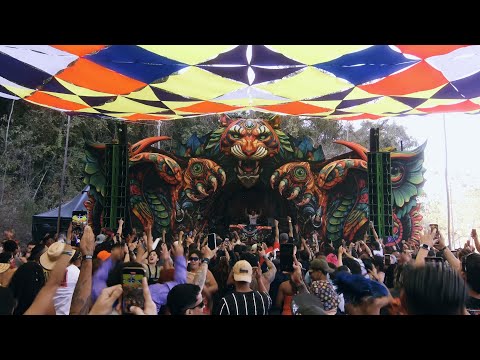 Menumas Anaya Festival Full Set