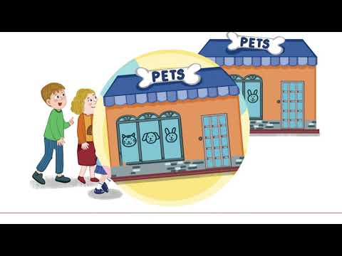 Let's Smile 3 Unit 12 Song - Where Are You Going?