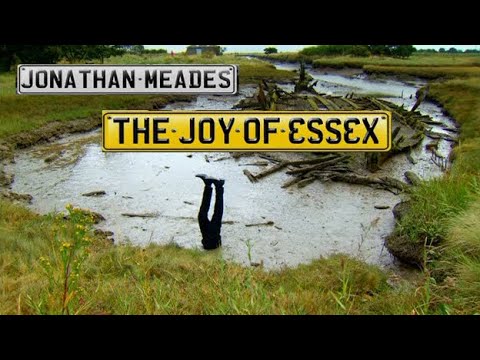 Meades, The Joy of Essex, 2013