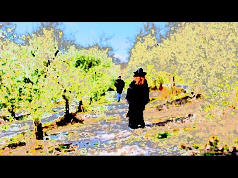 O compositor - ato I, da série Bruxólicas, de Silvana Leal