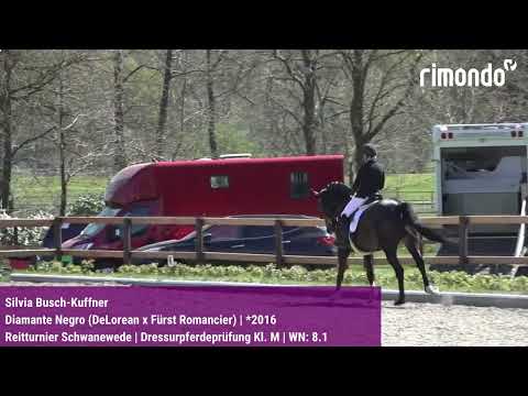 BuCha-Quali Schwanewede – Silvia Busch-Kuffner & Diamante Negro