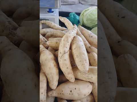 FEIRA DE SANTA INÊS BAHIA #shorts #feira #santainês #bahia #turismo #cultura #entretenimento #agro