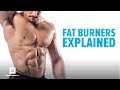 Fat Burners Explained | Brain Gainz