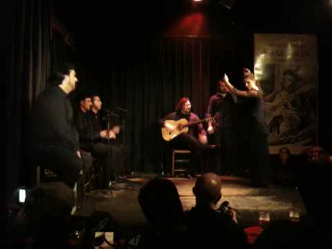 Casa Patas Flamenco Show Madrid 3, 20nov2009