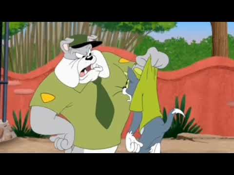 tom and jerry don't feed the animals