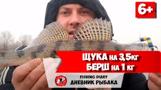 Ловля щуки и окуня в москва-реке