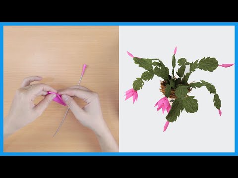 How To Make Chiristmas Cactus (Schlumbergera) Plant From Crepe Paper | DIY Flower Paper