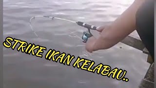 Download lagu MANCING IKAN KELABAU || Spot Desa Aluh-Aluh.. mp3