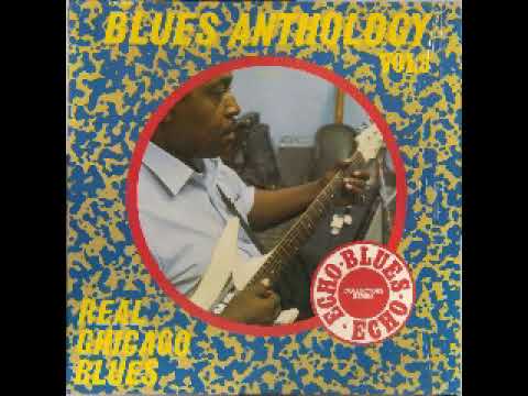 Real Chicago Blues & More Chicago Blues = Really The Chicago Blues