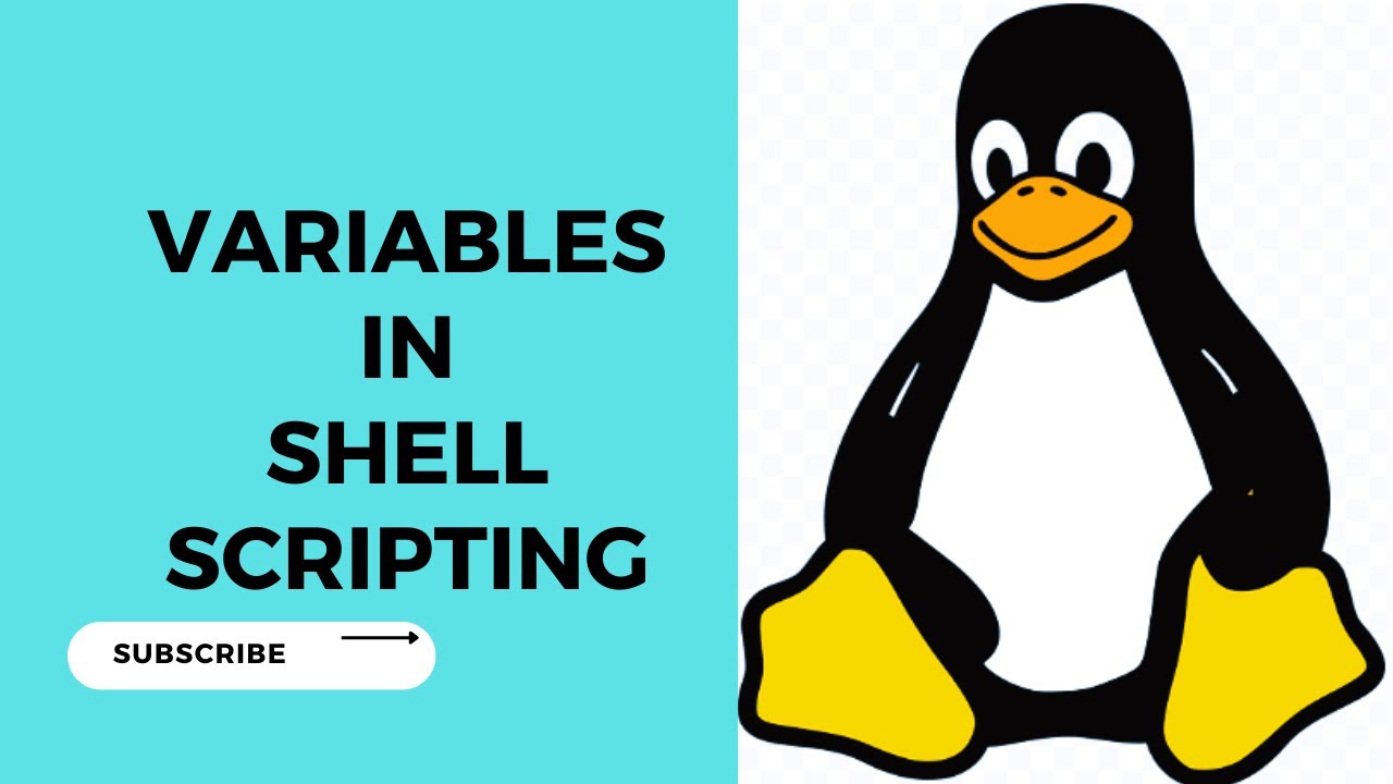 Variables In Shell Scripting - Linux /Unix || Linux Scripting || Variables In Linux  Shell scripting