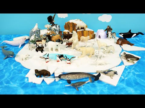 Fun Arctic Diorama  - Polar and Tundra Animal Figurines