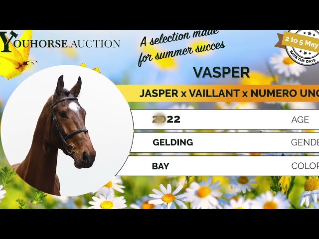 Vasper homevideo