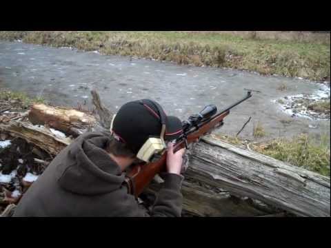 Remington Model 700 .243 Shooting