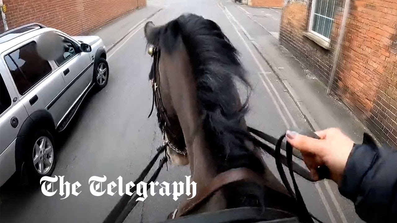 Moment la police montée poursuit un automobiliste en utilisant un téléphone au volant