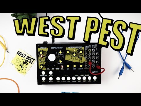West Pest - Cre8audio || Sound Demo || First Impressions || Unboxing