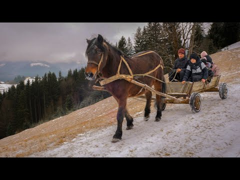 Einblicke in das Leben abseits des Stromnetzes: Borschtsch,  Steaks und pure Widerstandskraft!