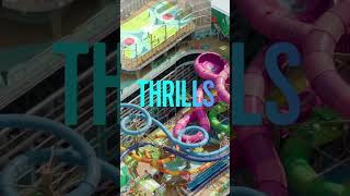 Icon of the Seas: Is This the ULTIMATE Vacation?