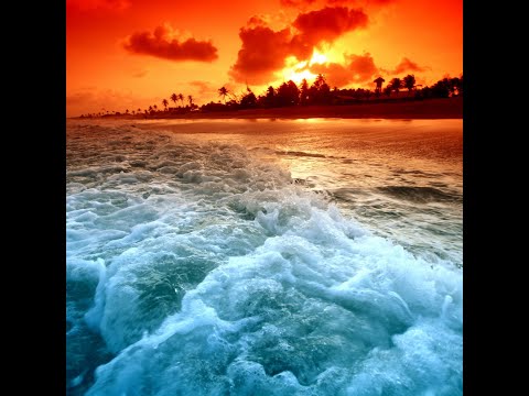 Video thumbnail wuo_U1TFF6c