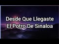 Desde Que Llegaste | El Potro De Sinaloa