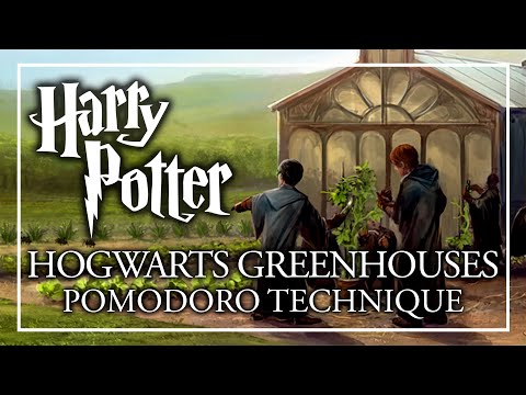 STUDY IN THE HOGWARTS GREENHOUSES - Pomodoro Session - Harry Potter ASMR