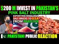 Exporting Himalayan Pink Salt Bricks To the USA From Pakistan - Pakistani Public Reactions