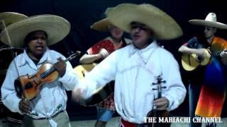 Cover art for El Donald De Alambre