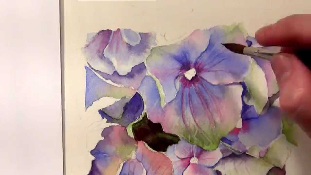 How to paint hydrangeas in watercolor - Online Tutorial and Watercolor DVD