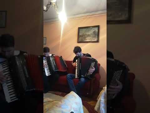 "Traktorsko kolo" uživo