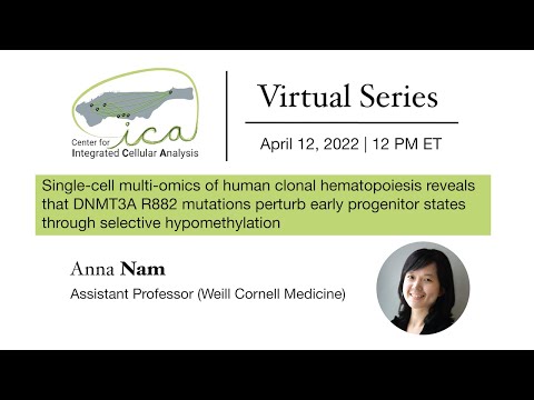 CICA Virtual Seminar Series- Anna Nam- 04/12/2022