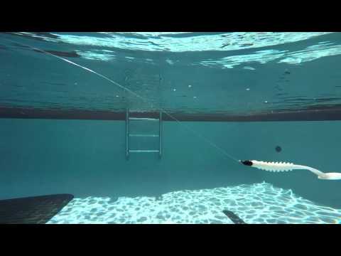 Underwater vid...