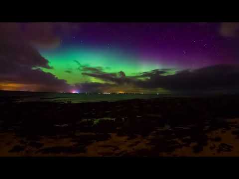 Bomba Estéreo, L. García. Como Lo Pedí  Eng. sub.