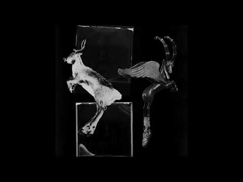 Sect video thumbnail