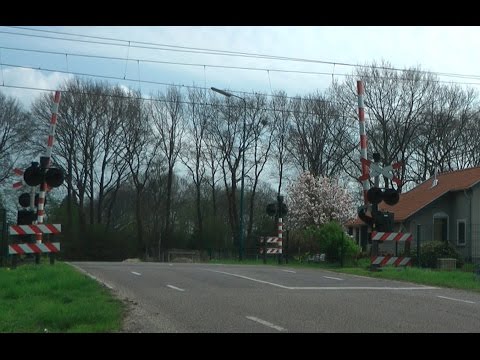 20170404 Rhenen 1224