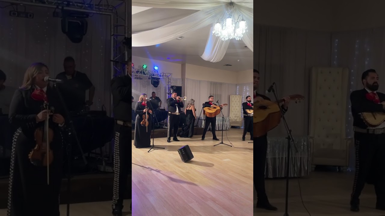 Promotional video thumbnail 2 for Mariachi Bohemio