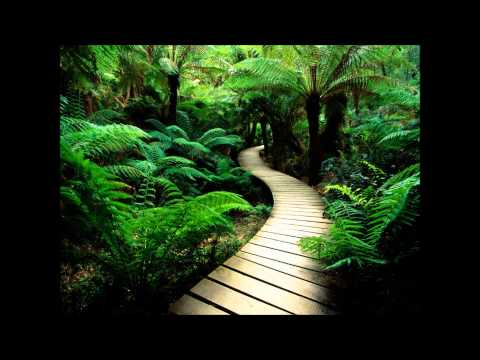 Deeder Zaman : That's The Way It Is