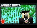 Beyond 30 000 000 In Minecraft Bedrock Edition